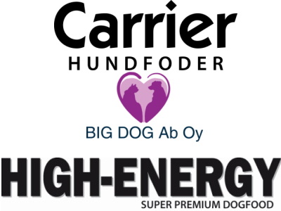 bigdog